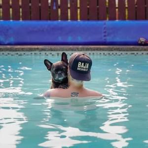 Meet your Posher, Matt